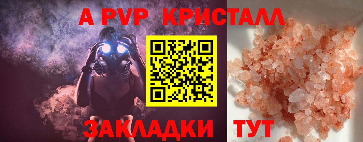 Альфа ПВП СК КРИС Краснодар