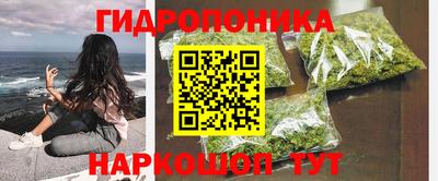 PSILOCYBIN Донской