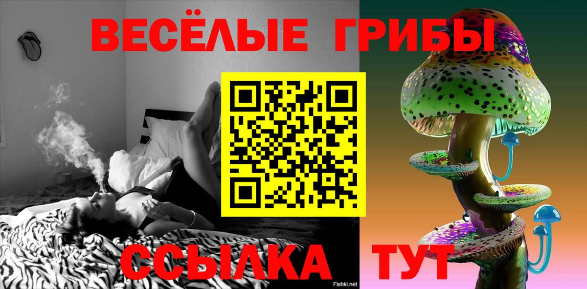 Галлюциногенные грибы Psilocybe  Вход с VPN  Краснодар  Псилоцибиновые грибы GOLDEN TEACHER 