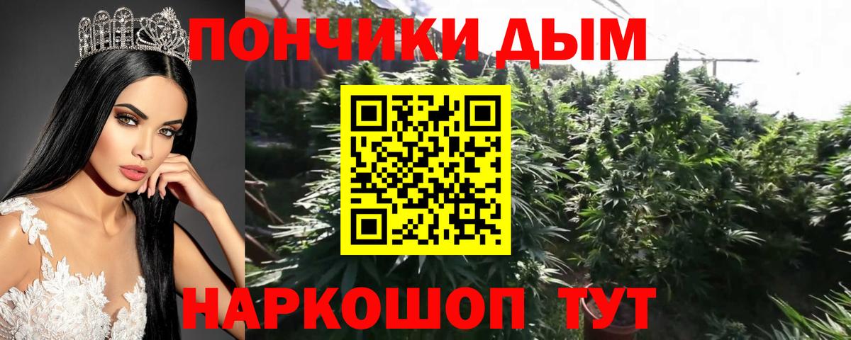 Краснодар  Шишки марихуана AK-47  Марихуана White Widow  Канабис конопля  Вход с VPN 